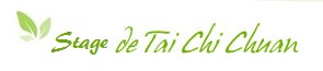 stages de Tai Chi Chuan