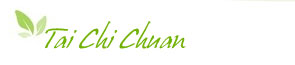 tai chi chuan